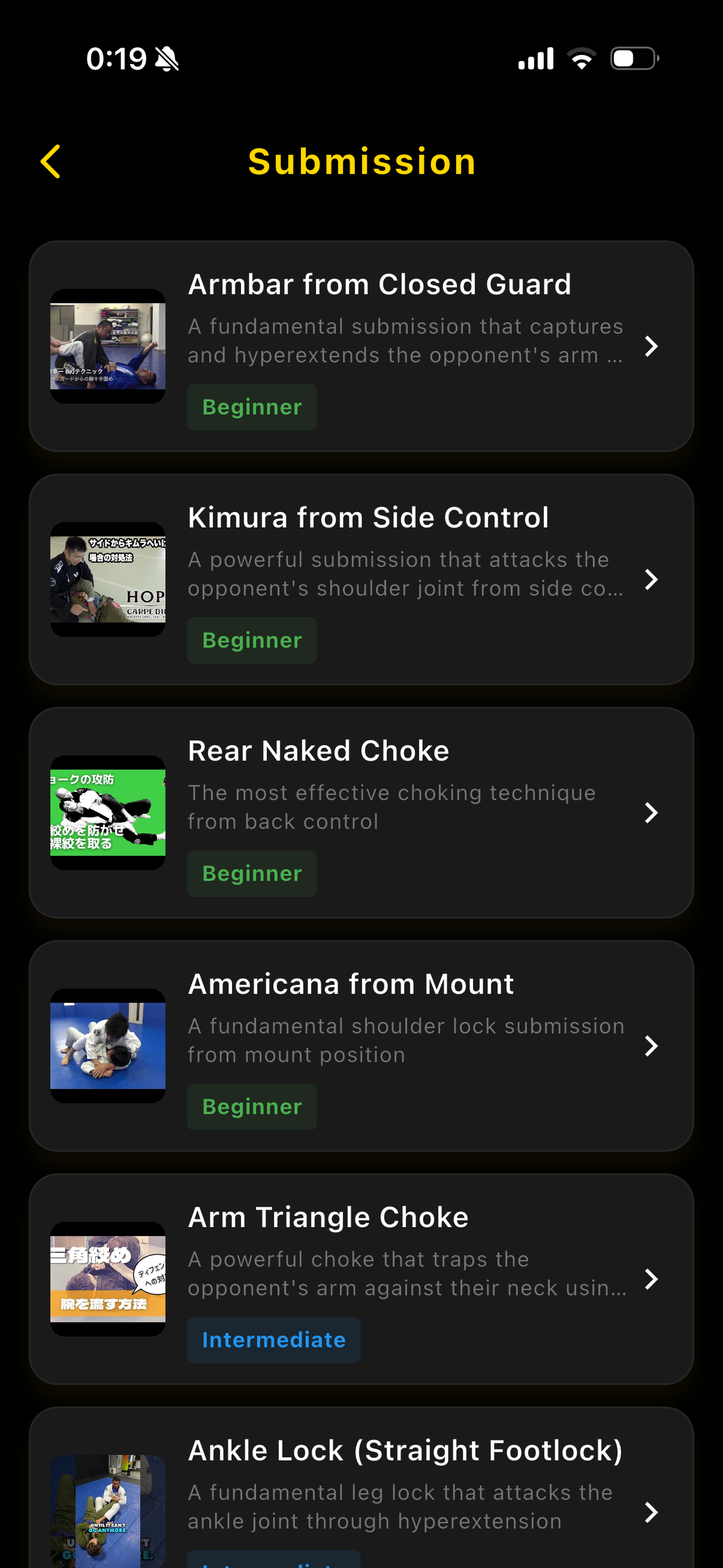 BJJ Techniques technique list screen